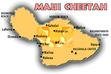 Map of Maui - 27kb